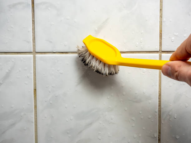 Best Black Mold Removal  in Locust Valley, NY