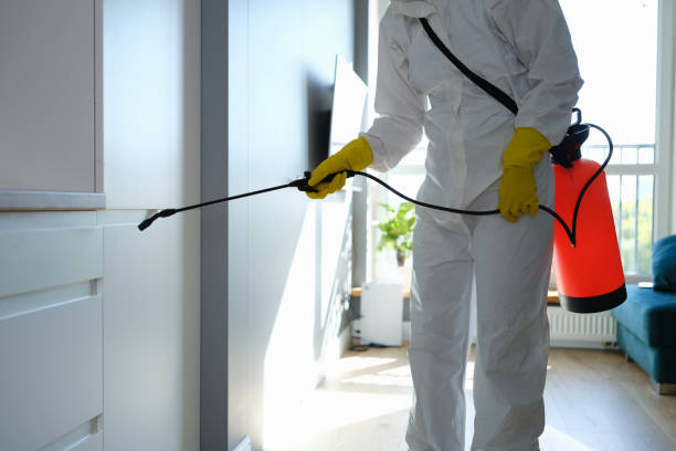 Best Crawl Space Mold Removal  in Locust Valley, NY